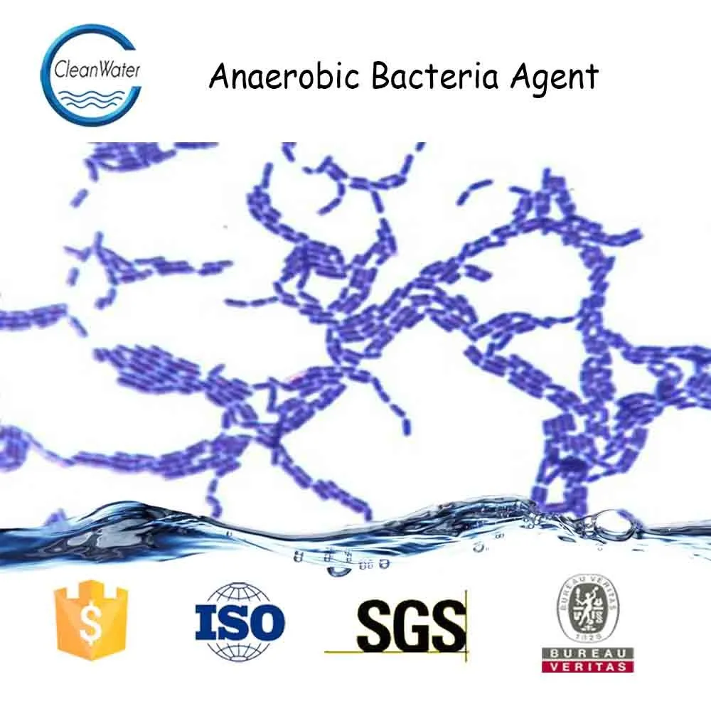 What Bacteria Are Used In Wastewater Treatment