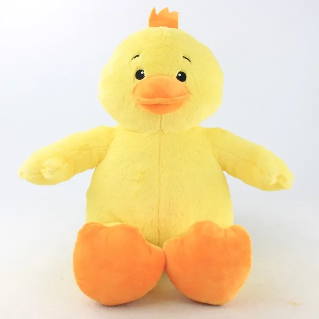 buy a duck picture