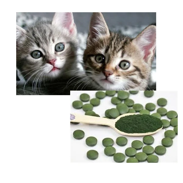E Spirulina A 6.jpg