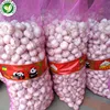 Chinese 4p pure white normal fresh shandong farm garlic of buyer request price