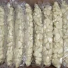 /product-detail/2019-new-crop-vacuum-packed-peeled-garlic-62171774824.html