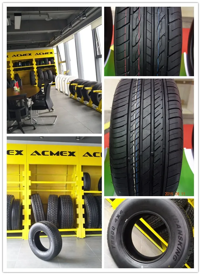 TRANSKING PCR Showroom