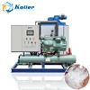 Koller Commercial Fishery Used 10 Tons Flake Ice Machine Hot Sale Water Cooled Big Ice Maker