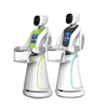 Low Price Intelligent Humanoid Serviceai Ai Humanoid Robot Server