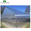 Tomato Low Cost Single-Span Greenhouse