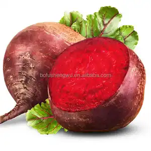 fresh beetroot