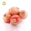spanish sweet onion/red onion importers in malaysia