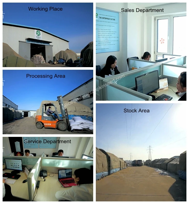 office corner.jpg