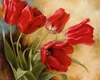 GZ637- 40*50 red flower diy diamond painting and canvas on Wooden DIY Stretcher bar