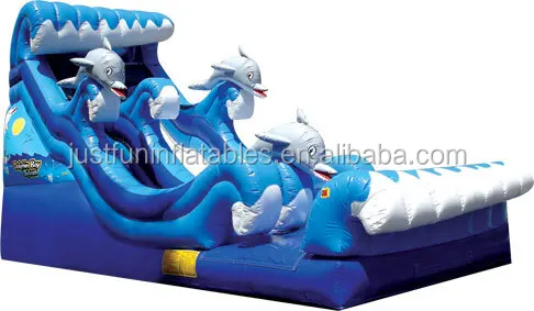 giant inflatable water slide