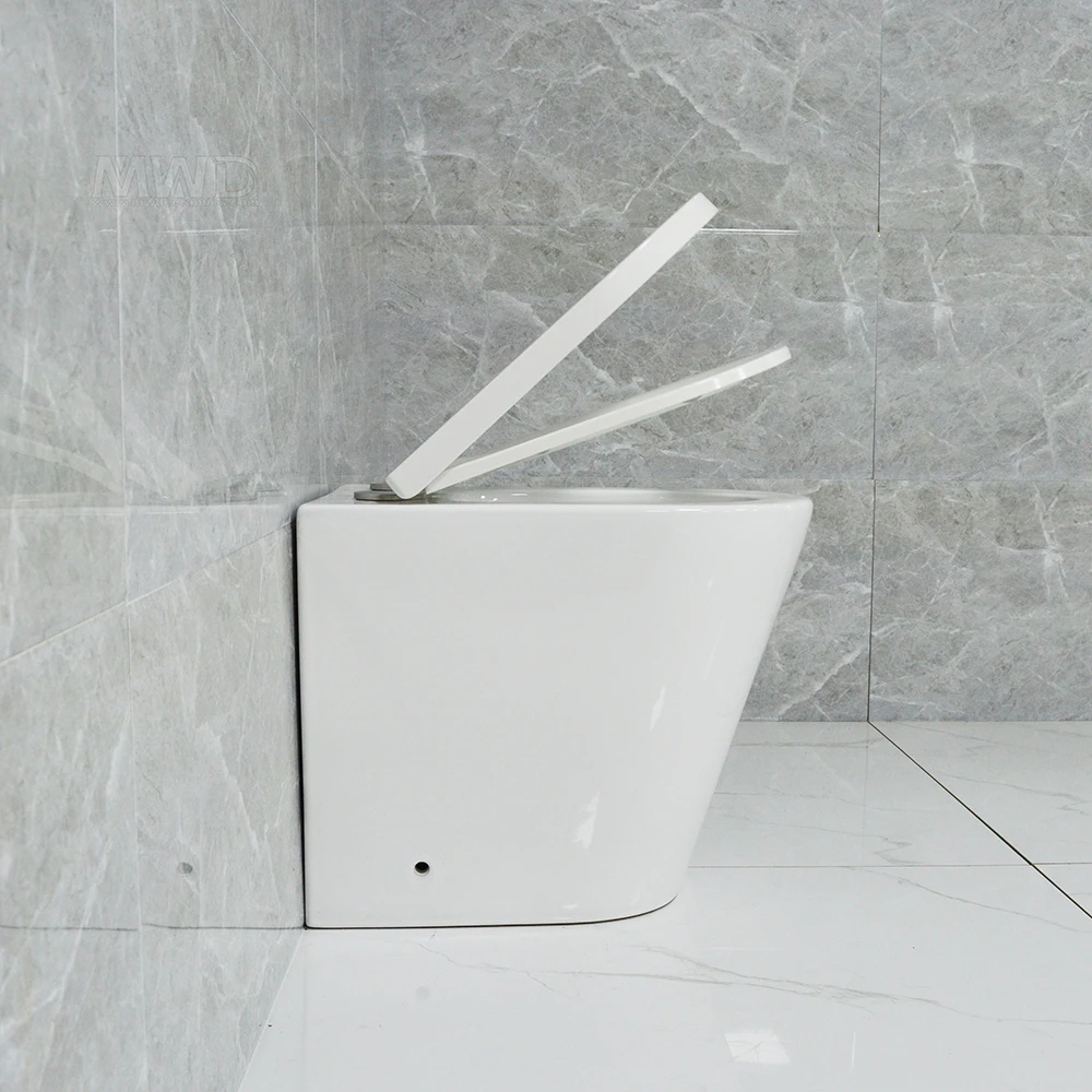 Watermark rimless back to wall floor mounted toilet  with close seat cover