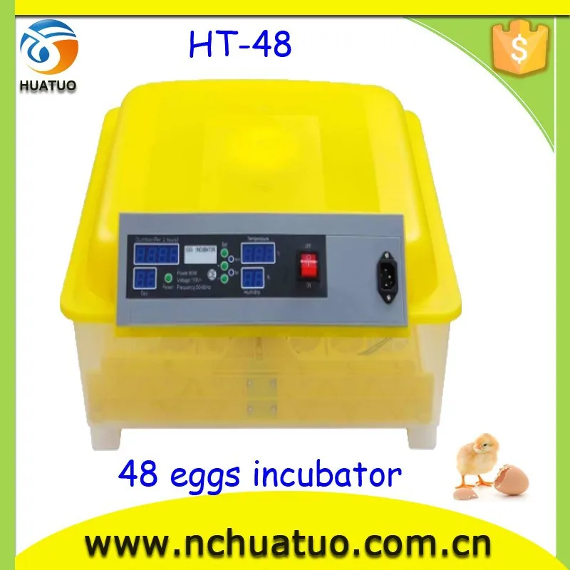 Chicken Incubator Eggs Professional Quail Farm Equipment For Sale 