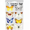 hot sale wall decor 3d butterfly sticker plastic butterfly craft