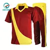 Good Selling Cricket Team Jersey With Logo Design Sublimation