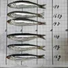 bottom price good service high quality frozen anchovy