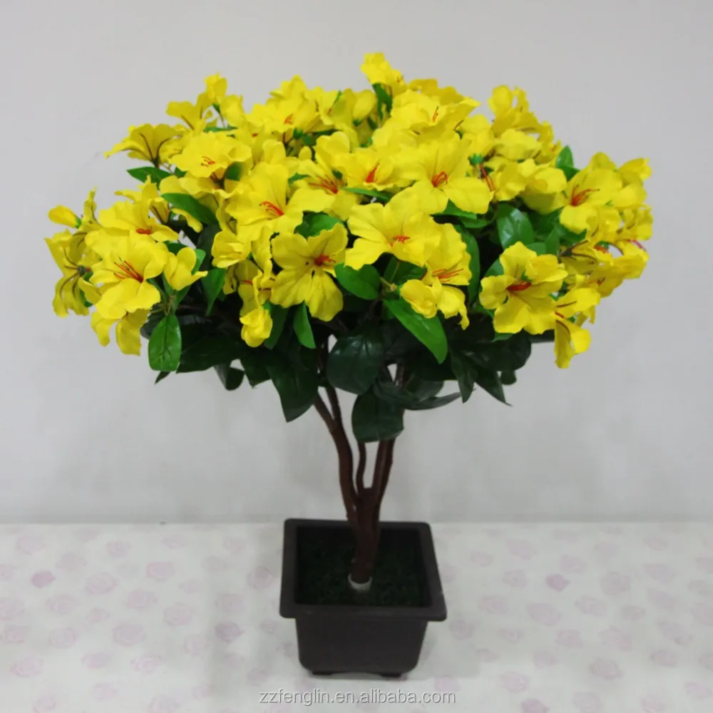 china flower bush