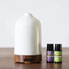 White Simple Aroma Essential Oil Diffuser Ceramic Ultrasonic Aromatherapy Air Humidifier With Cold Mist Fan 100ml