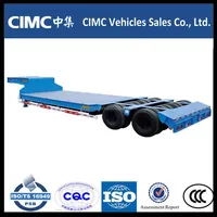 China Gold Supplier 100 Ton Low