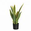 56cm Small Size Yellow Edge Plastic Artificial Snake Plant For Room Ornament