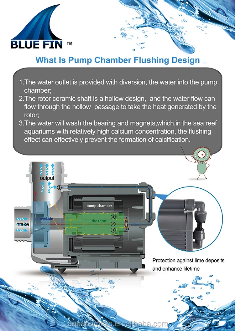 BF Flushing Design