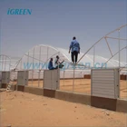Plastic film agricultural greenhouse