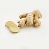 Chinese air dried fresh ginger