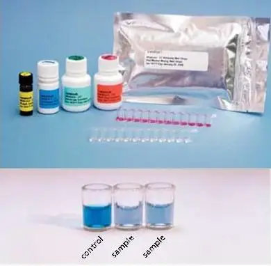 Verotoxin Test KIts for Histamine