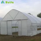 Long Time Life Plastic Film Greenhouse for Agriculture