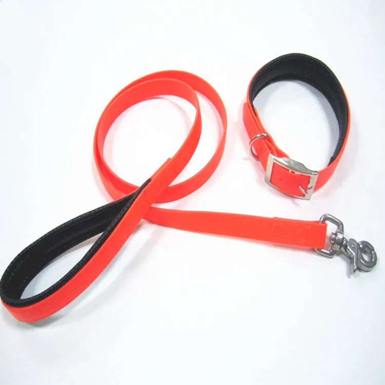 pvc leash and collar.jpg