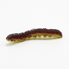 Model Toy Plastic Capsule Toy 3D Model PVC Colorful Plastic Caterpillar Toy For Capsule