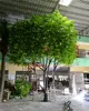 6 meters tall large outdoor vertical garden Artificial decoration foliage date plastic palm trees sale E03 1319