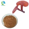 /product-detail/pure-natural-ganoderma-lucidum-extract-1226690578.html