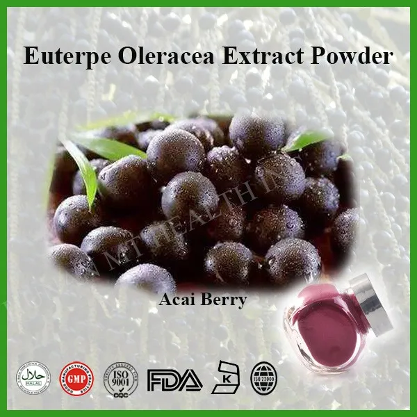 high quality acai berry extract powder