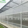 /product-detail/industry-auqaculture-greenhouse-plastic-green-house-economical-plastic-green-house-60550282158.html