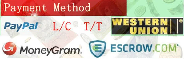 payment banner.png