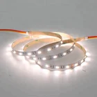 Color Strip 2 Color Tunable White Led Strip Color Temperature Adjustable 2216 SMD 120leds Per Meter