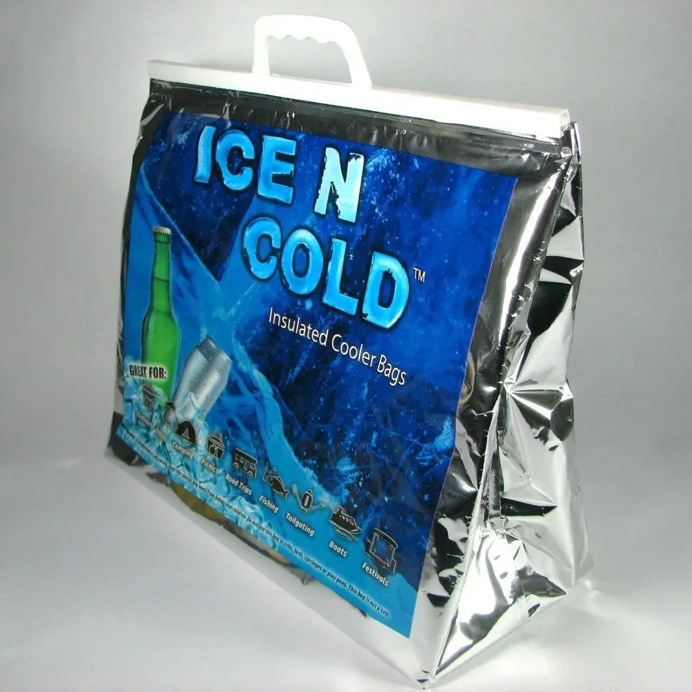 disposable insulated bags