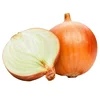 High Quality China Yellow Onion Export to Malaysia