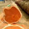 Safe and environmentally friendly tropical timber hardwood