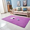 /product-detail/high-quality-luxury-hotel-living-room-coral-velvet-carpet-62219693595.html