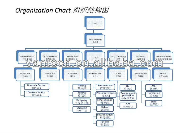 organization structure