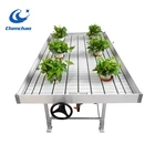 Ebb and flow rolling bench/rolling table growing pot plants in greenhouse for sale