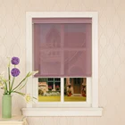 Hot selling hand control outdoor roller blinds