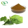 /product-detail/factory-price-100-natural-stinging-nettle-leaf-extract-b-sitosterol-nettle-leaf-tea-60621140896.html