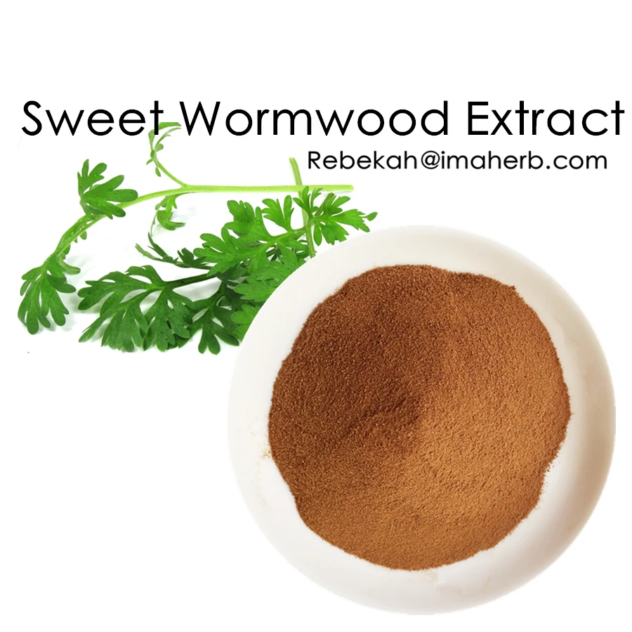 iso kosher manufacturer sweet wormwood plant extract low price
