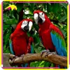 /product-detail/kano2216-amusement-park-realistic-resin-parrot-bird-for-sale-60491893372.html