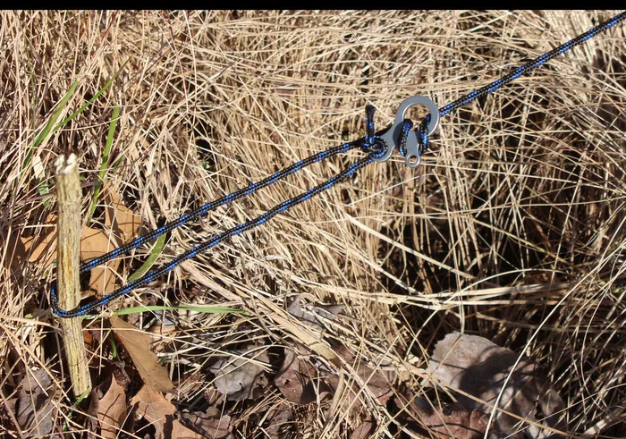 1624849345_224176411