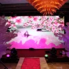 Indoor Full Color P2.5 P3 P4 P5 P6 Video Wall LED Display Panel