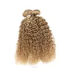 Original Brazilian Human Hair Weaves Janet Collection Curly Blonde Hair Kinky Bulk