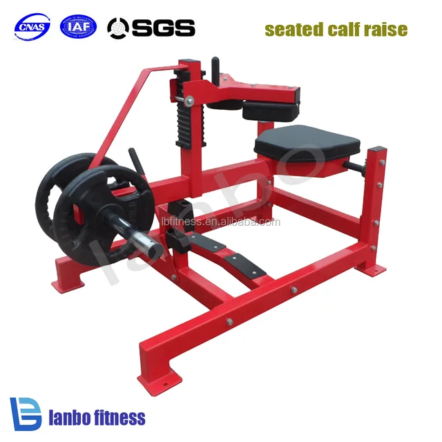 hammer strength seated calf raise thigh trainer gym club